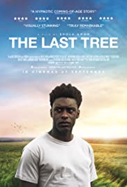 The Last Tree song